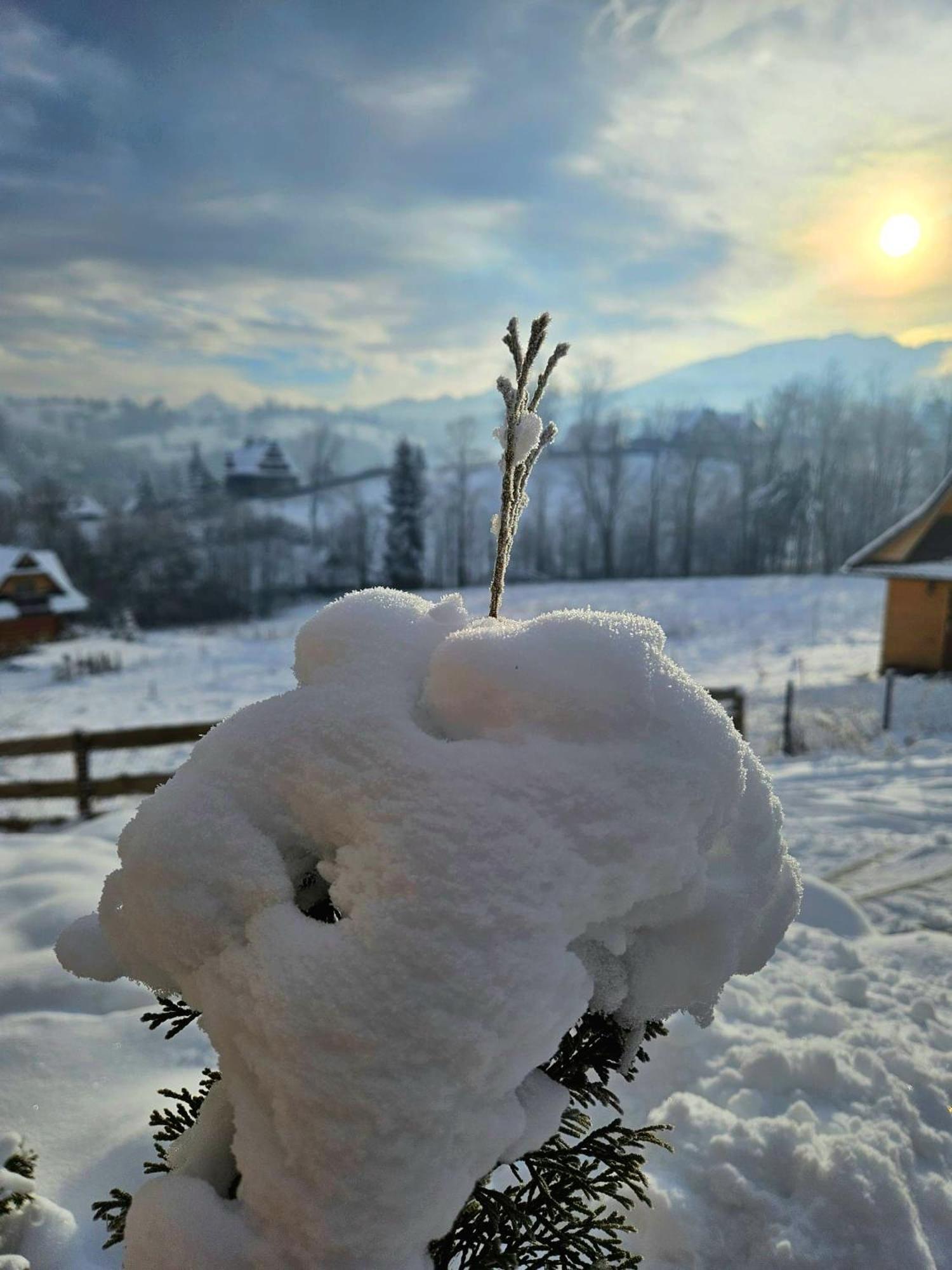 Goralska Chatka 3 Highland Cottage - Jacuzzi, Sauna, Split Ac, Private Parking, Mountains View Закопане Экстерьер фото