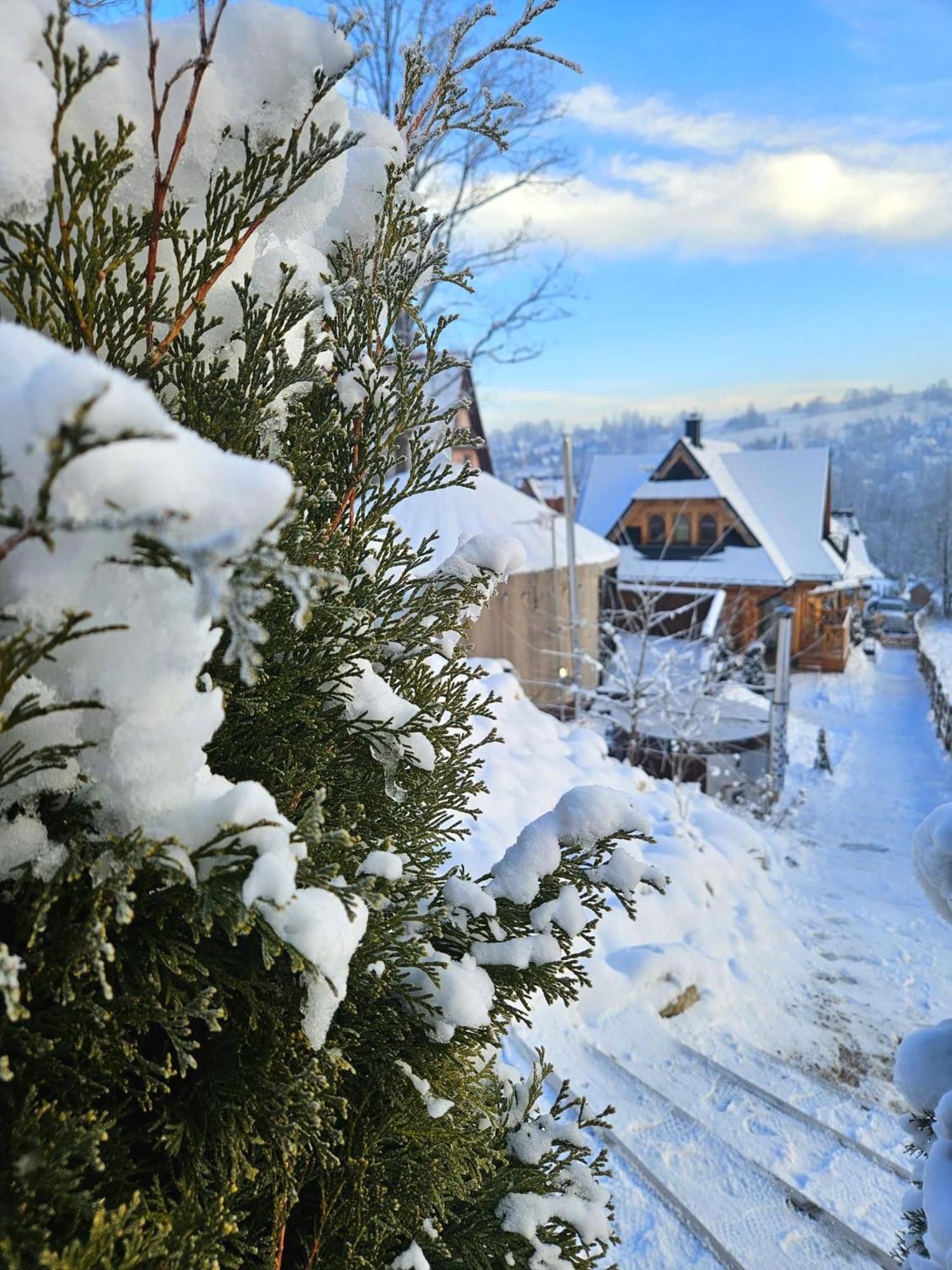 Goralska Chatka 3 Highland Cottage - Jacuzzi, Sauna, Split Ac, Private Parking, Mountains View Закопане Экстерьер фото